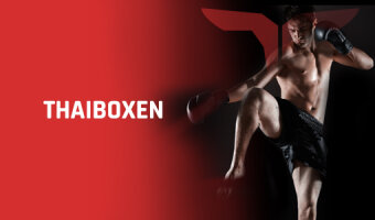 Thaiboxen