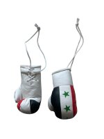 Miniboxhandschuhe, IRAQ