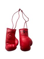 Miniboxhandschuhe, TOPSTAR, rot