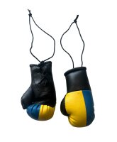 Miniboxhandschuhe, UKRAINE