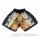Kick-Thai-Box Shorts, 100% Satin, schwarz/gold, MODELL: GOLDEN PUNCH