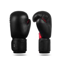 Boxhandschuhe, schwarz/rot, TOP-Modell