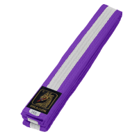 Budo Gürtel, violett/weiß/violett