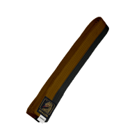 Budo Gürtel, braun/schwarz, halb&halb