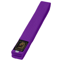 Budo Gürtel, violett